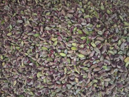 Pistachios - Grade 1: 5,400 Turkish Lira per kilogram (including VAT) resmi